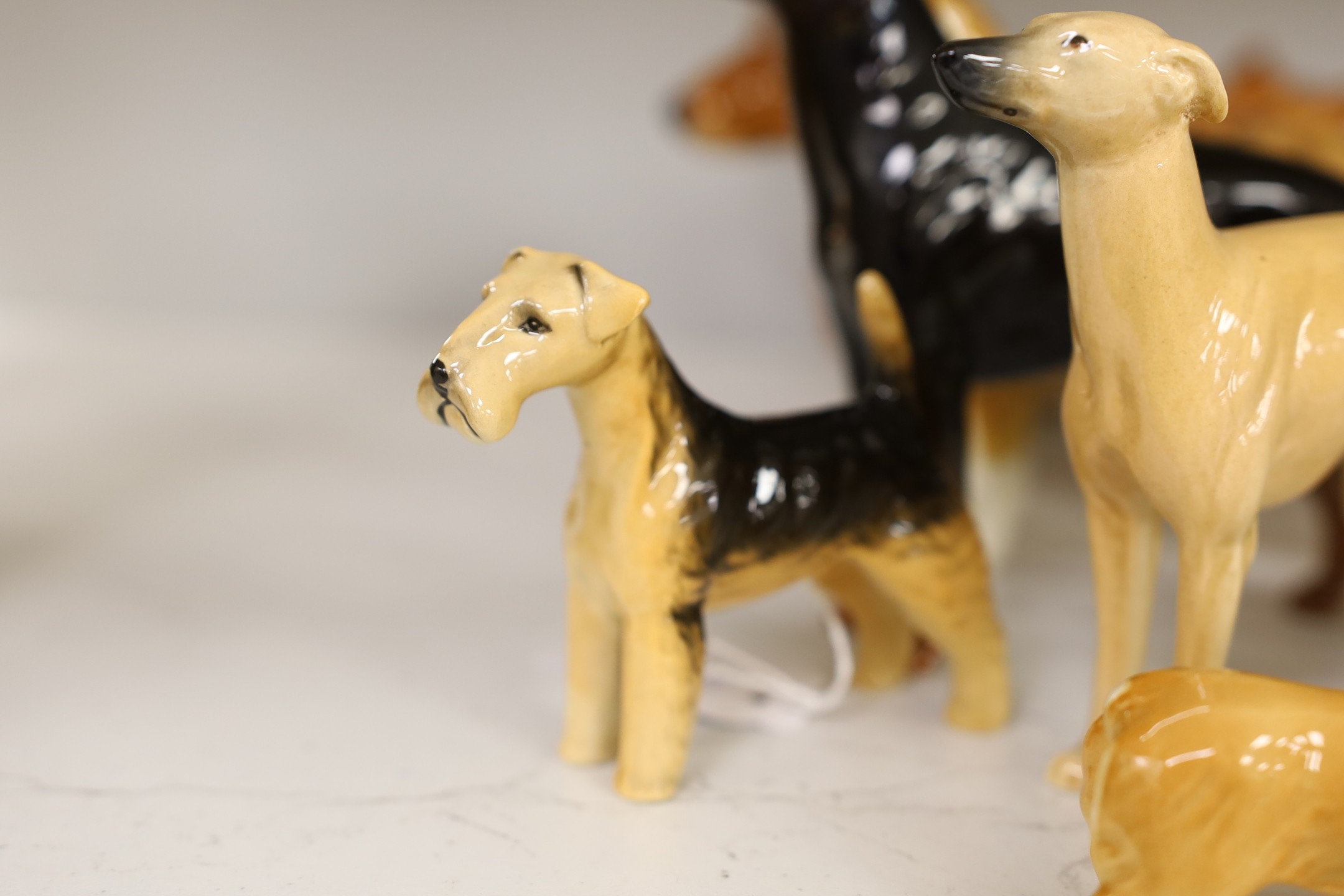 A selection of Beswick dogs, to include a Corgi, Daschund, Lurcher, Beagle, Doberman, Fox Terrier, Lochinvar of Ladypark, together with a Beswick cat (9)